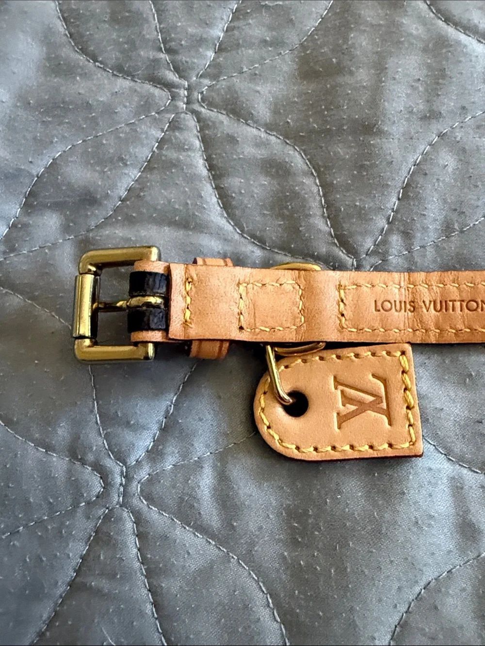Louis Vuitton Barter Dog collar